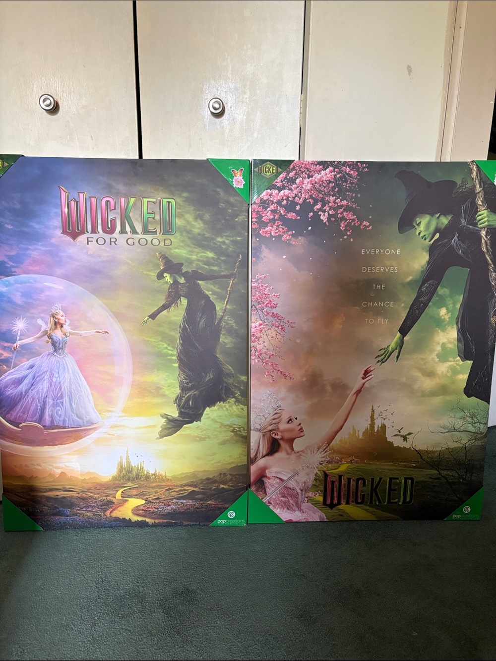 Wicked For Good Kids Costume Poster Art - Green and Pink